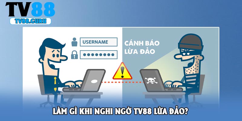 Làm gì khi nghi ngờ TV88 lừa đảo?