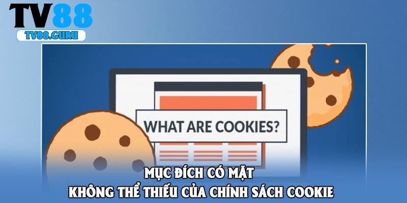 Mục đích có mặt không thể thiếu của chính sách cookie