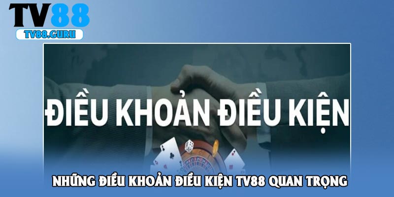 Những điều khoản điều kiện TV88 quan trọng