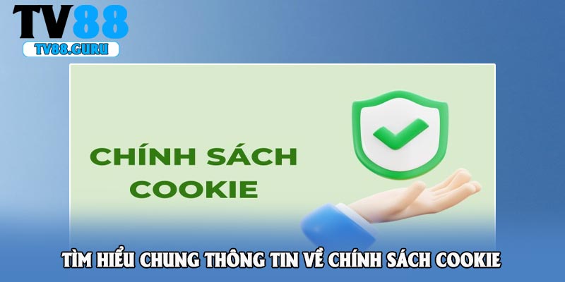 Tìm hiểu chung thông tin về chính sách cookie